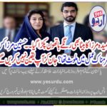 HASNAIN, MIRZA, SON, OF, FAHMIDA MIRZA, INVOLVED, IN, A, SHAMFEUL, ACT, BEING, ARRESTED, IN, NAB , REFERENCE