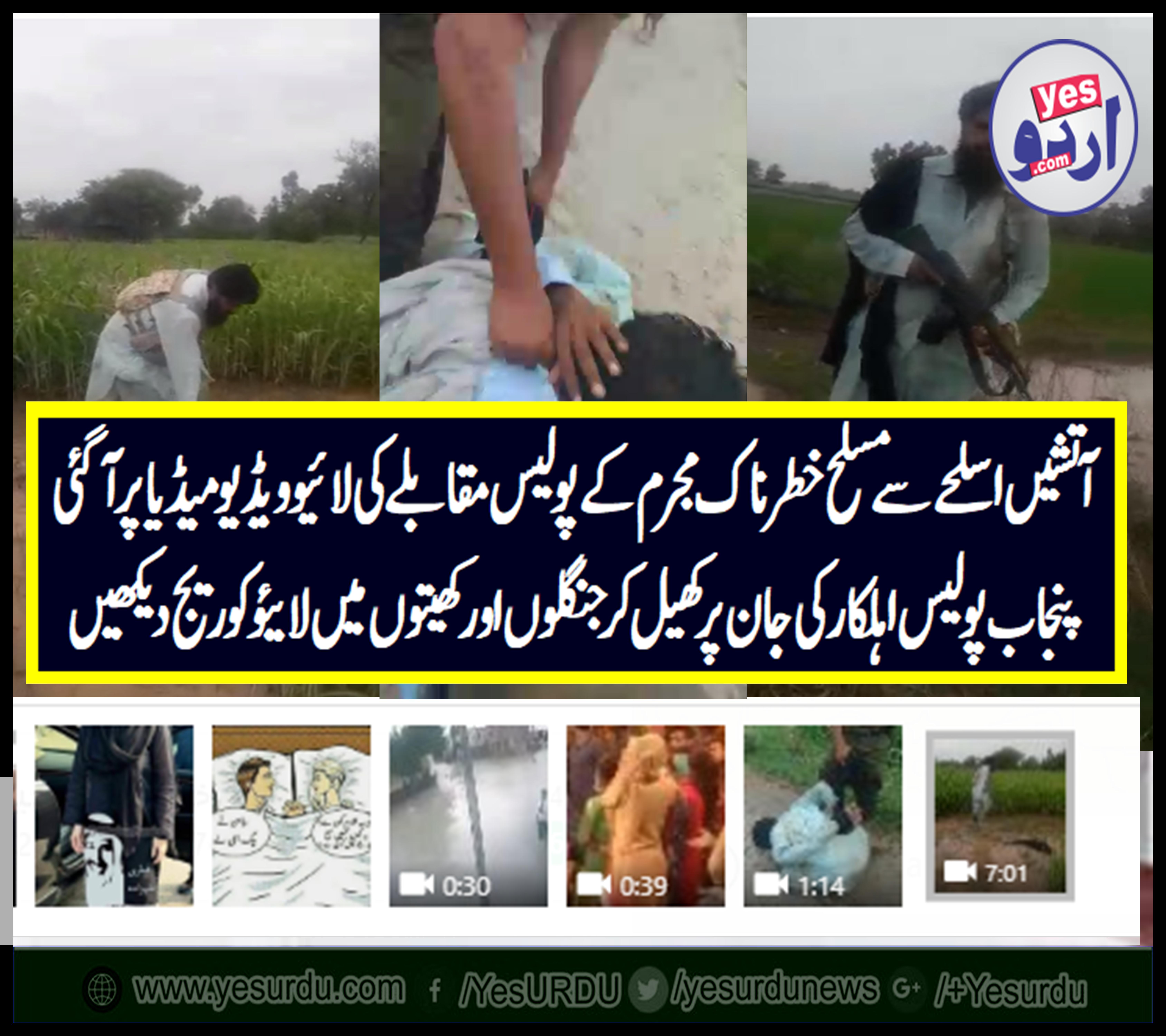 POLICE, ENCOUNTER, LIVE, COVERAGE, BY, PUNJAB, POLICE, OFFICIAL, IN, CENTRAL, PUNJAB, CRIMINAL, RUSHED, INTO, JUNGLE, AND, THEN, FROM CROPS, ARRESTED, AND, CONVICTED, SUCCESSFULLY