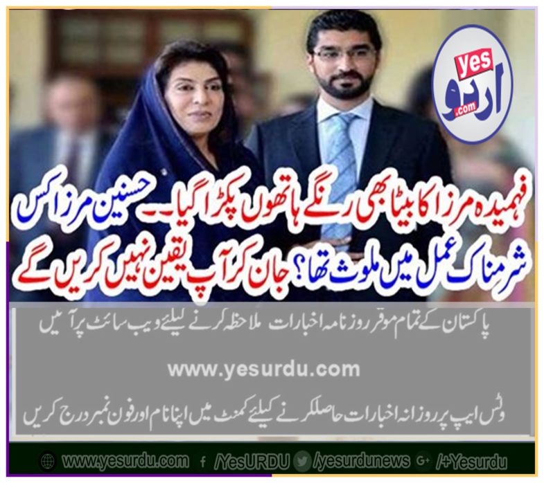 HASNAIN, MIRZA, SON, OF, FAHMIDA MIRZA, INVOLVED, IN, A, SHAMFEUL, ACT, BEING, ARRESTED, IN, NAB , REFERENCE