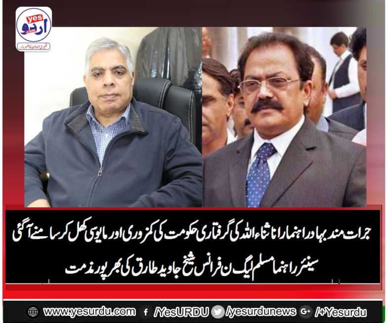 sheikh javed tariq, senior, leader, PMLN, France