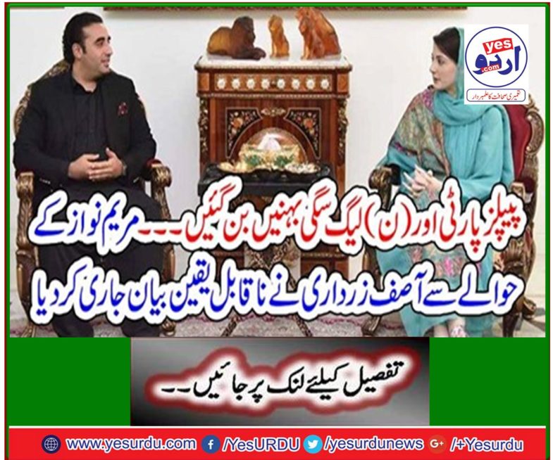 Regarding Maryam Nawaz Zardari issued an incredible statement