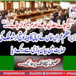 Prime Minister Imran Khan prevented his cabinet from appearing in support of judge Arshad Malik