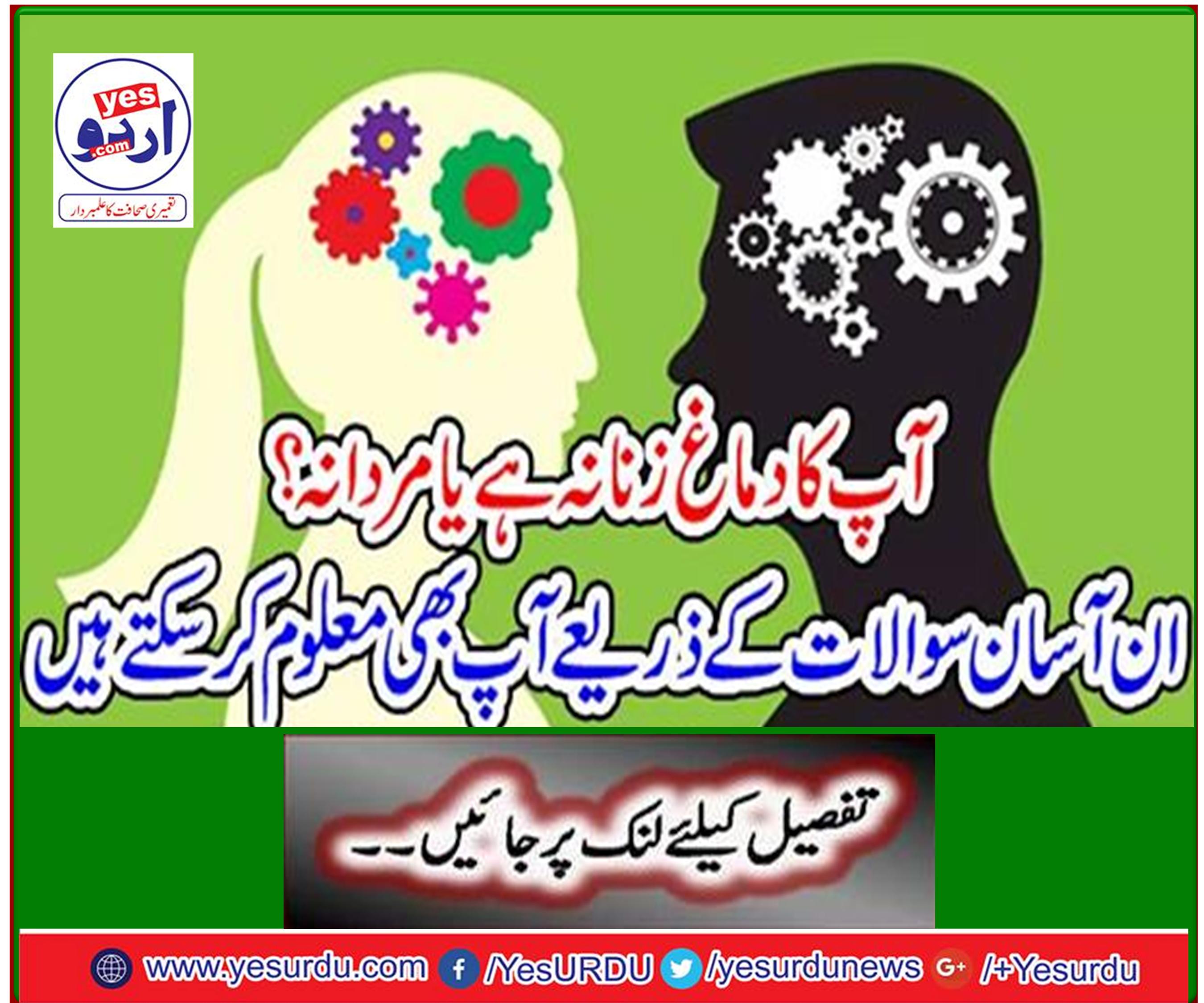 آپ کا دماغ زنانہ ہے یا مردانہ؟