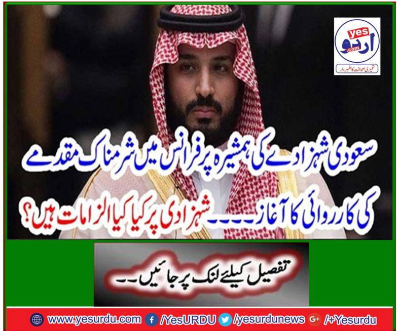 Saudi princess's fury begins a shameful trial in France ...