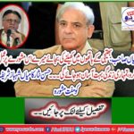 Hassan Nisar's free advice to Shahbaz Sharif