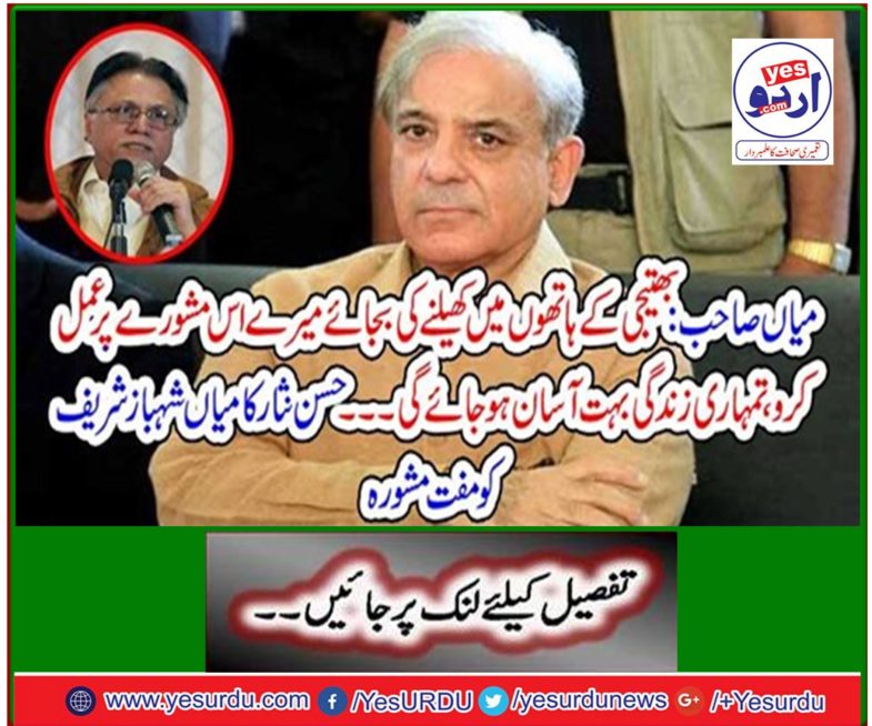 Hassan Nisar's free advice to Shahbaz Sharif