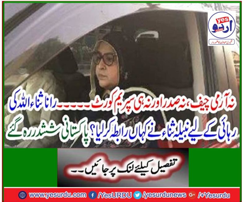 Where did Nabilah Sanaa approve for release of Rana Sanaullah? Pakistan became shy