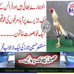 An exciting writer of Mustnesh Hussain Tarr
