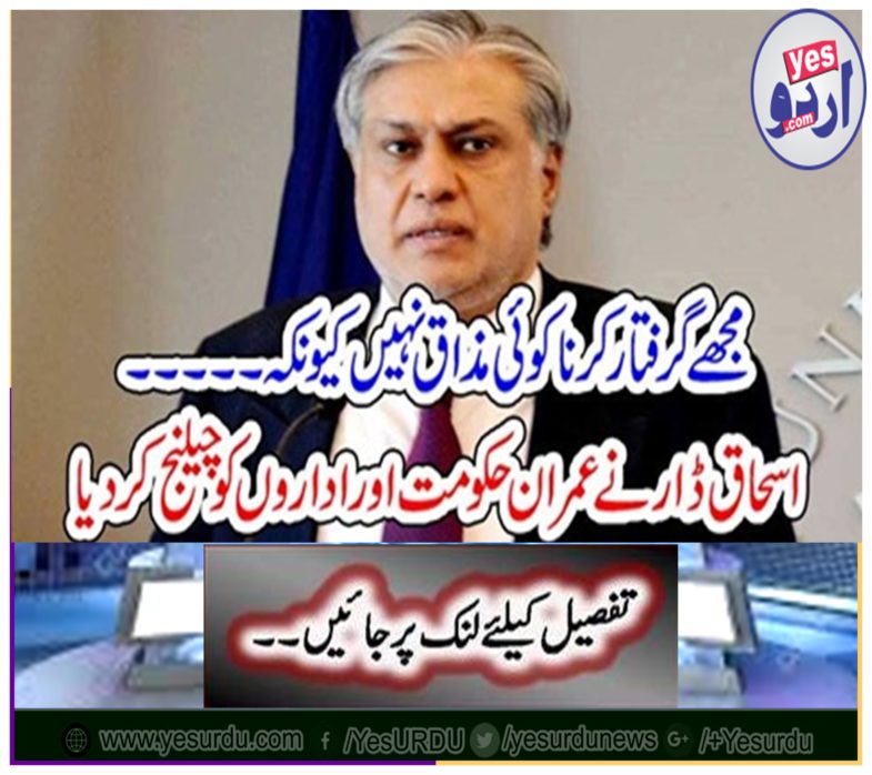 Ishaq Dar challenged Imran government and institutions