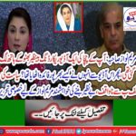 Unique to politics, uniquely written by Mary Nawaz for the want to be Benazir