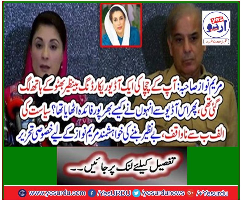 Unique to politics, uniquely written by Mary Nawaz for the want to be Benazir