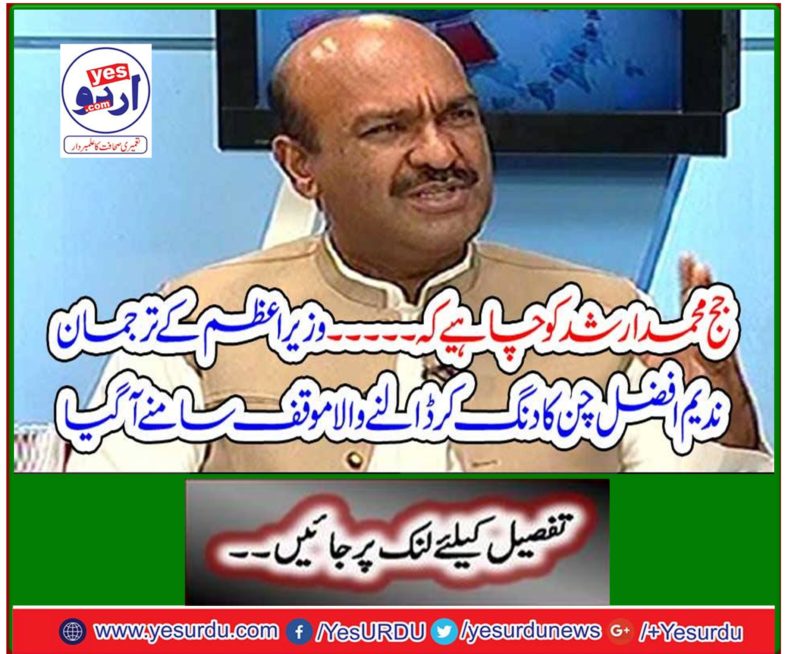 Prime Minister's spokesman Nadeem Afzal Chen emerged as a standpoint