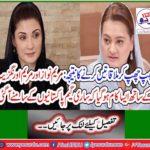 It was done with Mary Nawaz and Mary Aurangzeb that the whole game came to Pakistanis