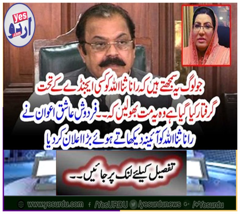 Parrudash Ashok Awan declared Rana Sanaullah a big mirror while showing mirror