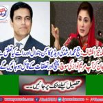 By knowing you will be convinced of Mary Nawaz's thinking, reach and relationship