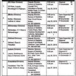 Bureau of Statistics (BOS) Punjab Jobs 2019 for 296+ Posts (Walk-in Interviews)