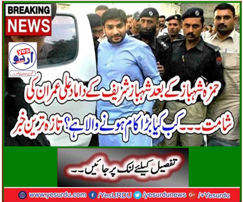 Breaking News: After Hamza Shahbaz Shahbaz Sharif's son-in-law Ali Imran's martyrdom ...
