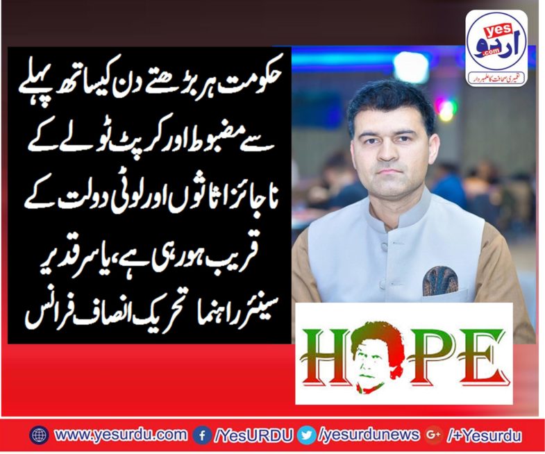 SENIOR, LEADER, PTI, FRANCE, YASIR QADEER, SAYS, GOVERNMENT, WITH, EVERY, COMING, DAY, GETTING, STRONGER,AGAINST, CORRUPT, POLITICIANS