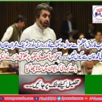 On the criticism of Khawaja Asif, the government minister said such a thing that the house was shattered
