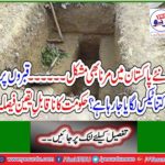 Government's incredible decision