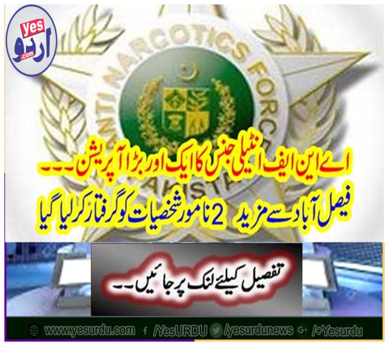 Another major operation of ANF intelligence ...