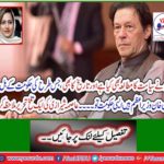 See A Brief Written by Asma Shirazzi