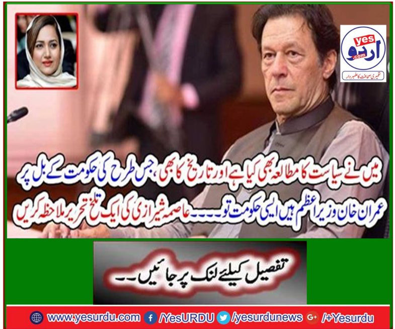 See A Brief Written by Asma Shirazzi