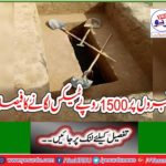 Decision to raise Rs 1500 on graves