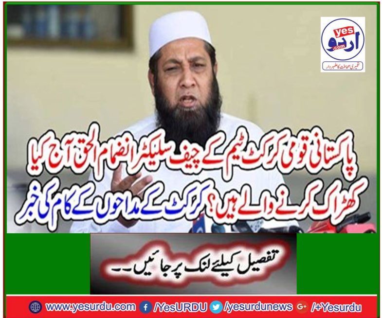 News of cricket fans work