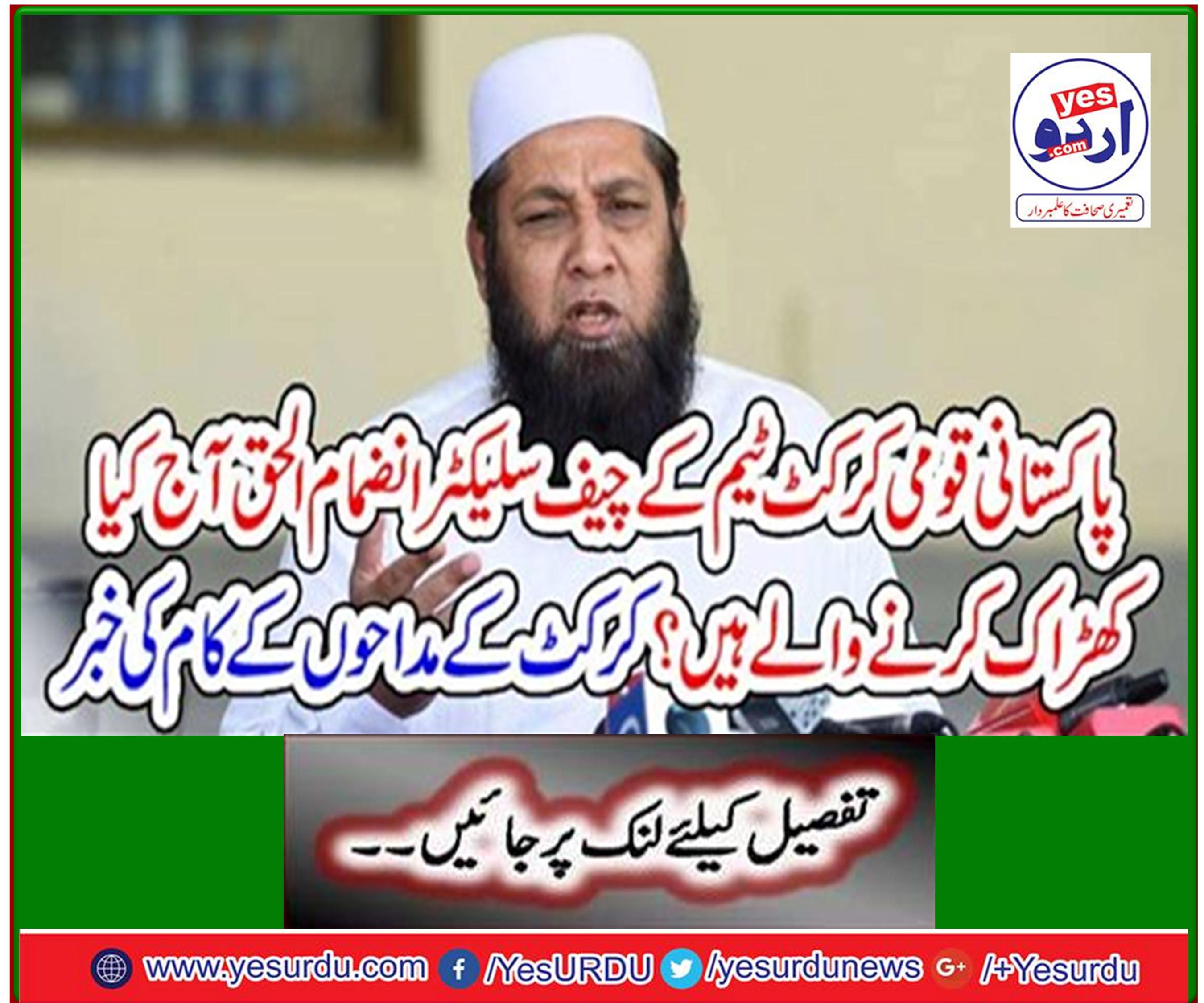 News of cricket fans work