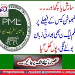 Conspiracy or anything else ... On the decision of the clubs, PML-N started speaking the Indian language