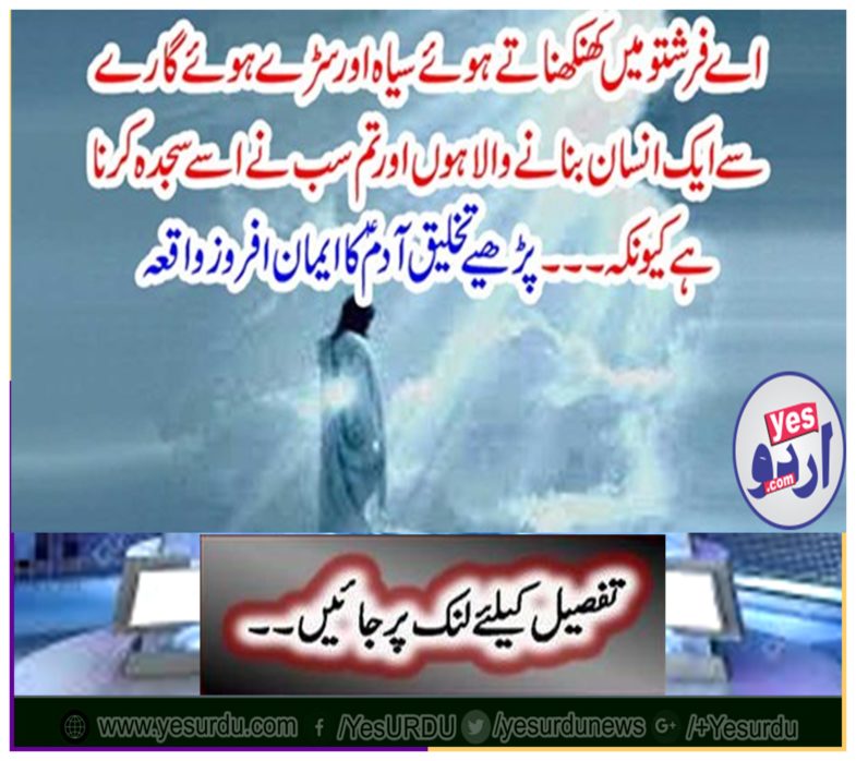 Read Adam's faith in the creation of Adam