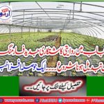 Traditional farming in Punjab started transforming into modern farming. An encouraging news