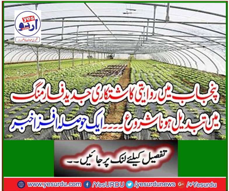 Traditional farming in Punjab started transforming into modern farming. An encouraging news