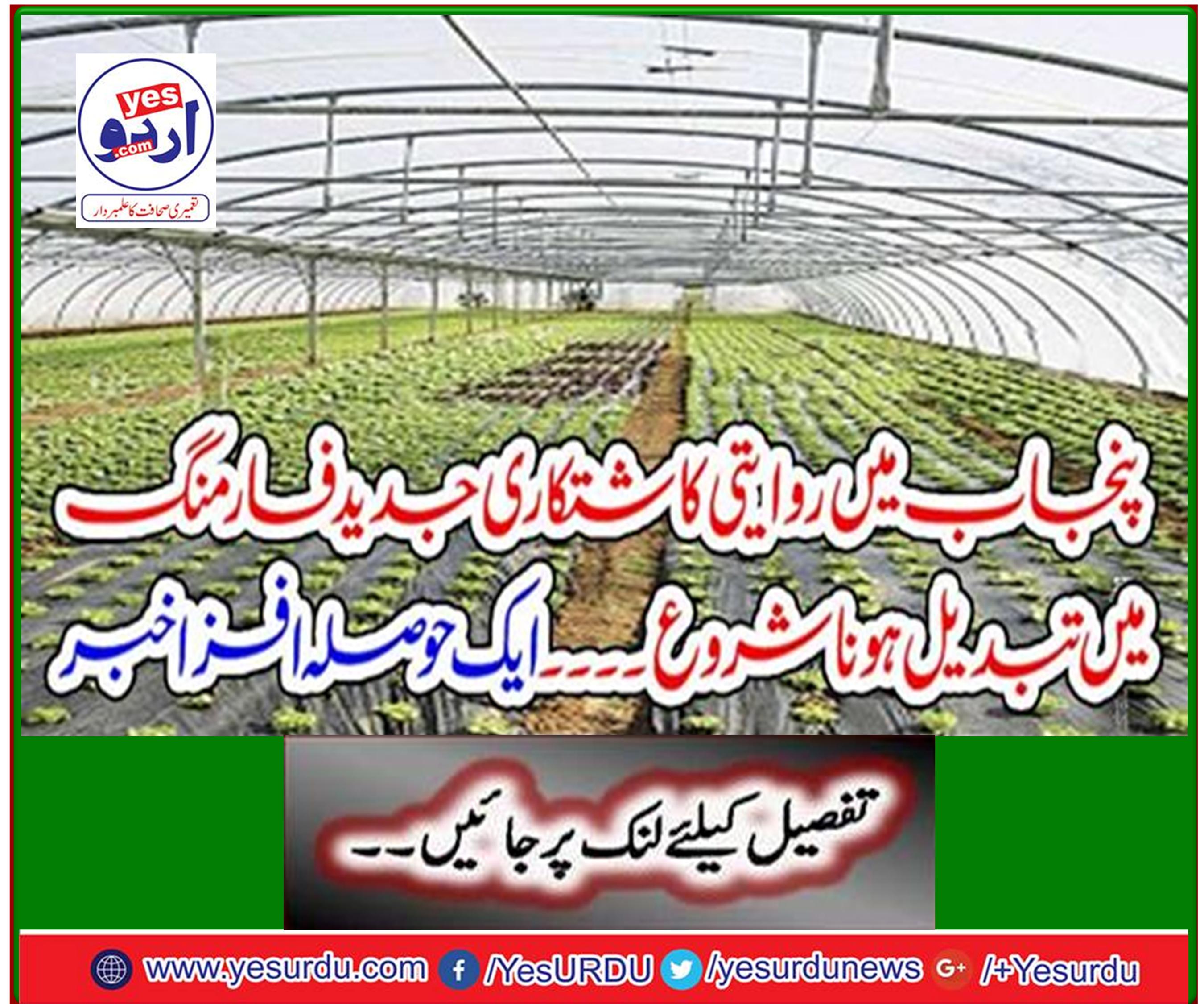 Traditional farming in Punjab started transforming into modern farming. An encouraging news