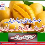 The most popular fruit of summer ... How to choose a delicious taste and sweet mango?