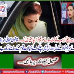 Female journalist Seal Bukhari placed Mary Nawaz's thoughts in front of the nation