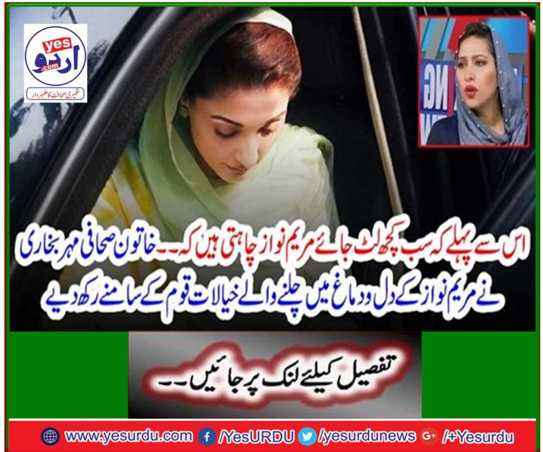 Female journalist Seal Bukhari placed Mary Nawaz's thoughts in front of the nation