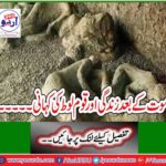 Life and the story of Lot after death .....