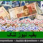 A, PAKISTANI, HOW, MUCH, OF, HIS, INCOME, SPENT, ON, LOANS