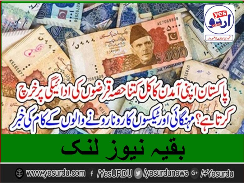 A, PAKISTANI, HOW, MUCH, OF, HIS, INCOME, SPENT, ON, LOANS