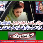 Female journalist Seal Bukhari placed Mary Nawaz's thoughts in front of the nation