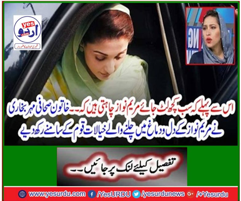 Female journalist Seal Bukhari placed Mary Nawaz's thoughts in front of the nation