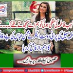 Fatima Sohail's old friend, Ankar, felicitated Mohsen Abbas's main secret
