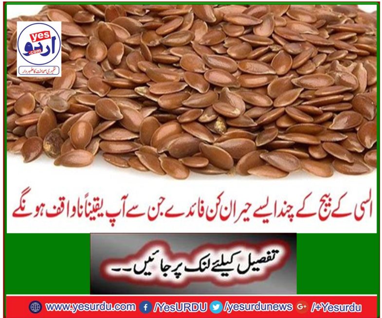 Some amazingly beneficial advantages of Lucy's seed that you will certainly be unaware of