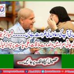 Shahbaz Sharif's mother-in-law meets mother, discuss national politics