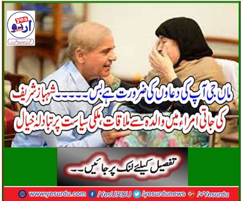 Shahbaz Sharif's mother-in-law meets mother, discuss national politics