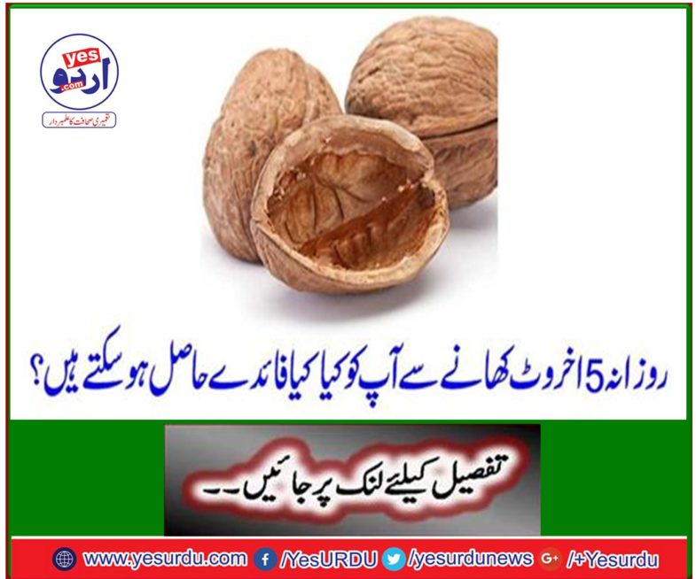 What benefits do you get from 5 walnut daily?