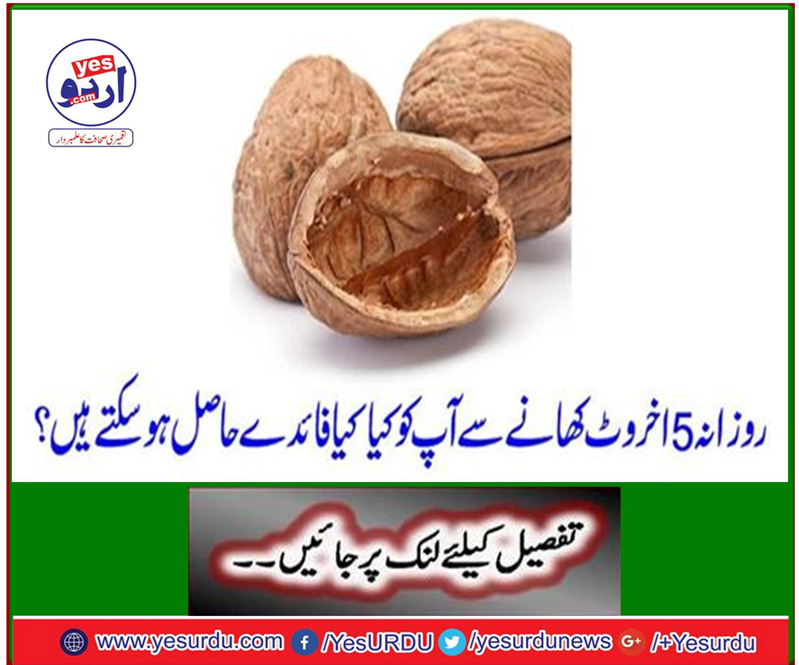 What benefits do you get from 5 walnut daily?