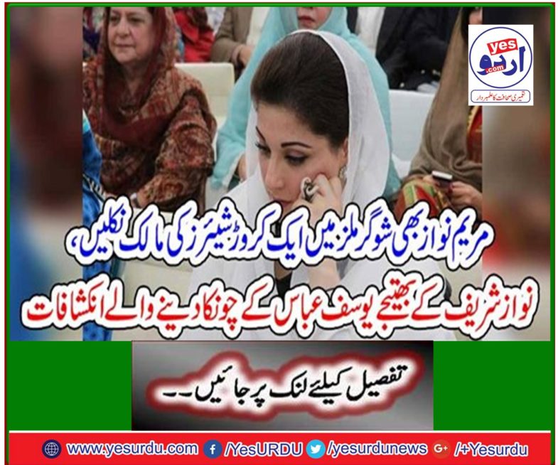 Shocking revelations of Nawaz Sharif's nephew Yusuf Abbas